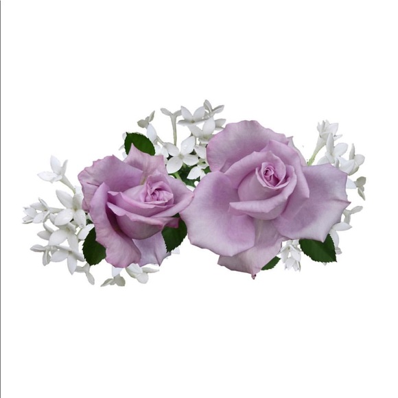 Meet your Posher, Jocelyn - Picture 1 of 3